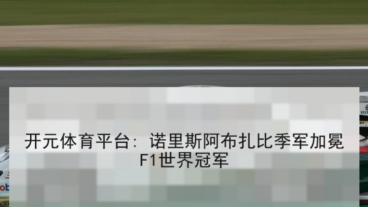 开元体育平台: 诺里斯阿布扎比季军加冕F1世界冠军